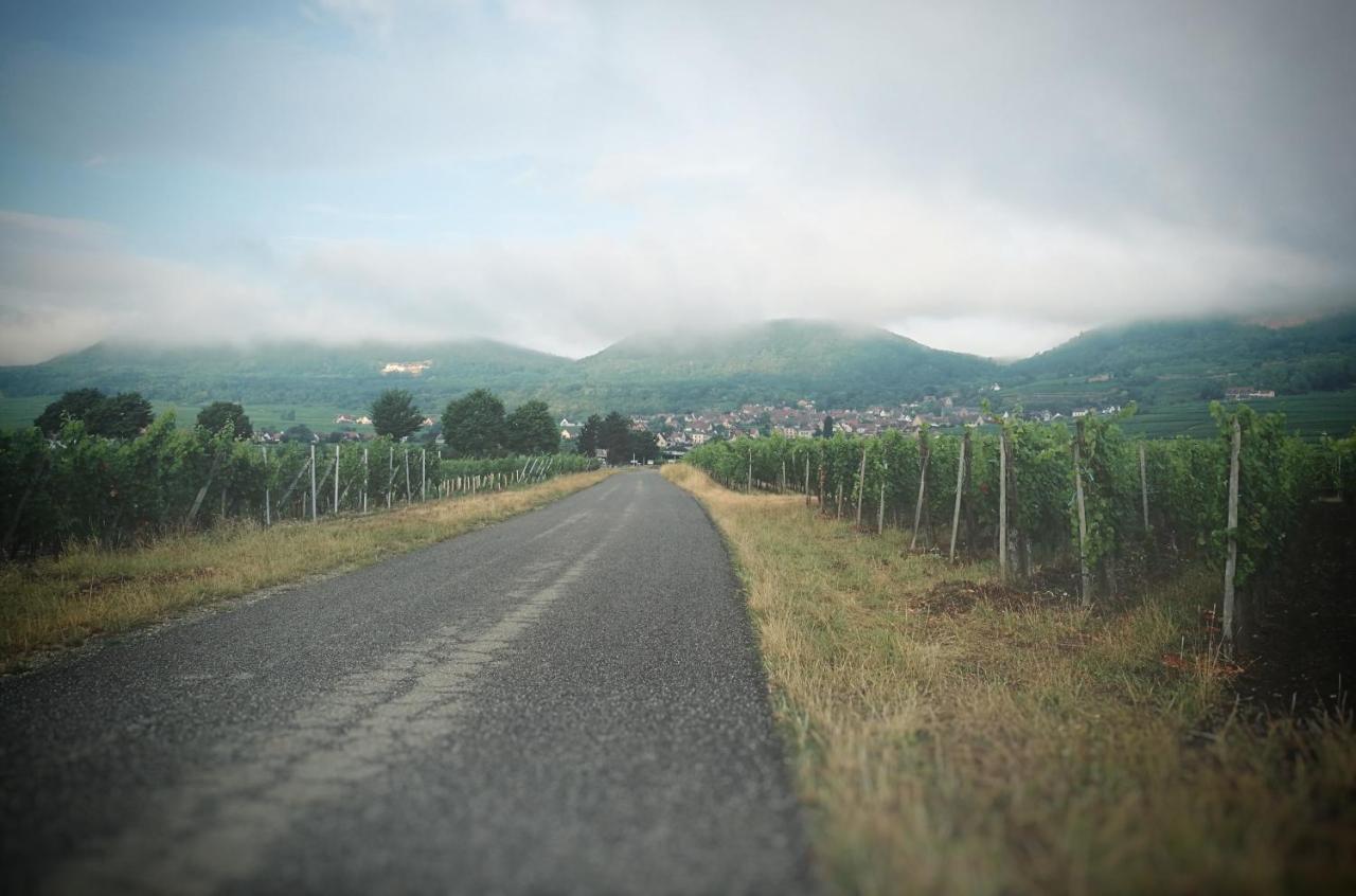 La Belle Alsacienne - Route Des Vins D'Alsace Hotel Hattstatt Exterior photo